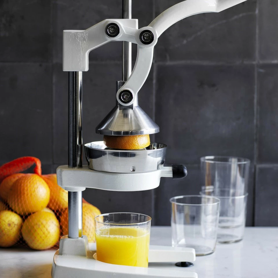 OrangeX Juicer 3 OrangeX Juicer - Image 3