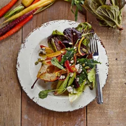 Rustic® Outdoor Melamine Salad Plates -Deals BAR Store rustic melamine salad plates 202240 0025 rustic outdoor melamine salad plates z