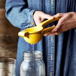 Williams Sonoma Open Kitchen Lemon Press -Deals BAR Store williams sonoma open kitchen lemon press 202240 0159 open kitchen by williams sonoma lemon press z