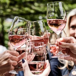 Williams Sonoma Open Kitchen Red Wine Glass -Deals BAR Store williams sonoma open kitchen red wine glass 202240 0018 open kitchen by williams sonoma red wine glasses z