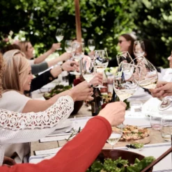 Williams Sonoma Open Kitchen Stemless White Wine Glass -Deals BAR Store williams sonoma open kitchen stemless white wine glass set 202240 0018 open kitchen by williams sonoma white wine glasses z