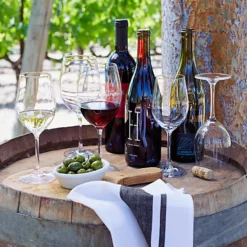 Williams Sonoma Open Kitchen White Wine Glass -Deals BAR Store williams sonoma open kitchen white wine glass 202240 0083 open kitchen by williams sonoma white wine glasses 1 z